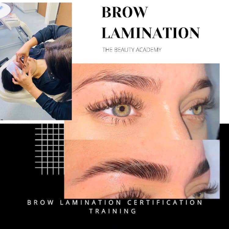 Brow Lamination Certification Training